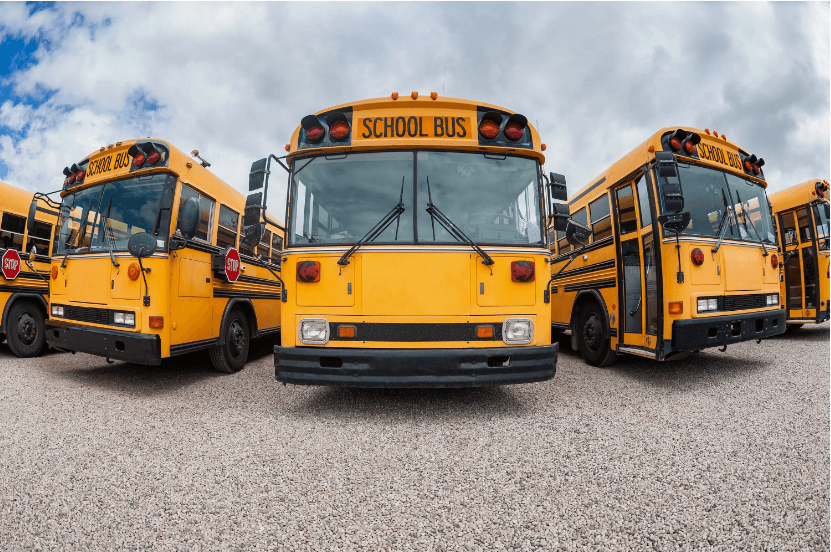 How Long is a School Bus